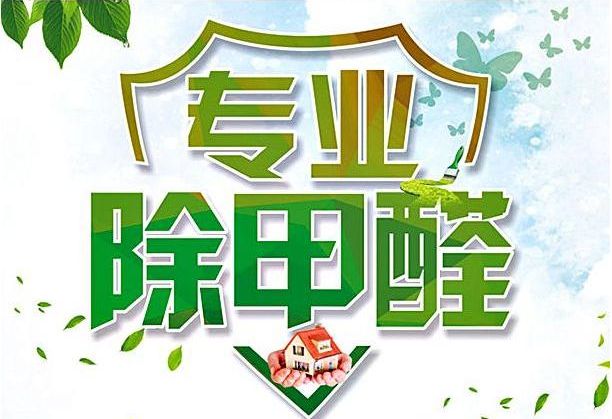 专业除甲醛