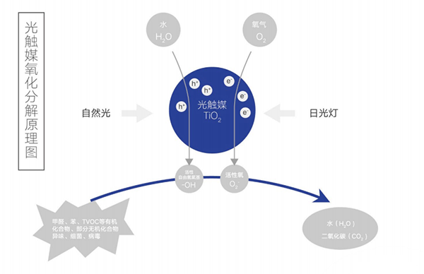 武汉光触媒除甲醛？CMA甲醛检测？武汉正规除甲醛公司推荐？